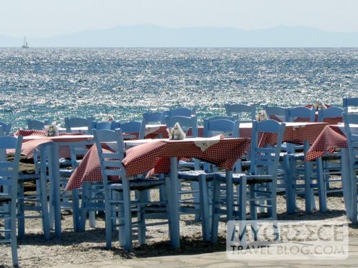 Babulas Taverna at Mykonos Town