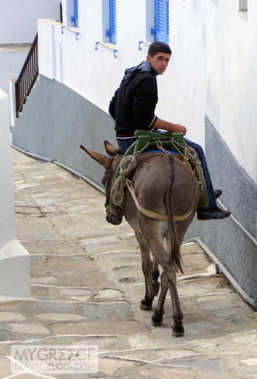 boy riding a donkey on Sifnos