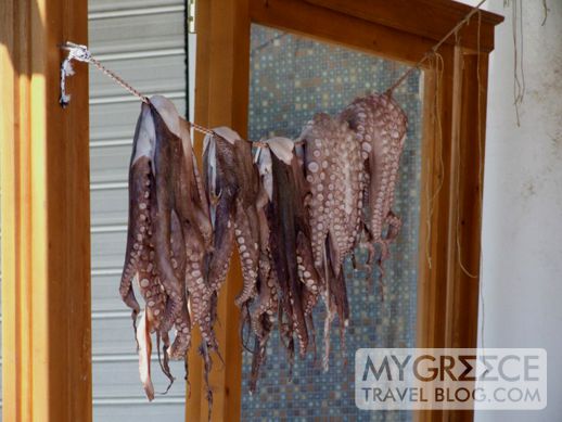 octopus hanging on a line