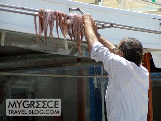 hanging octopus to dry