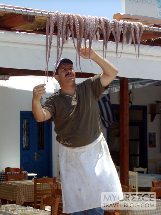 octopus in Naoussa village on Paros