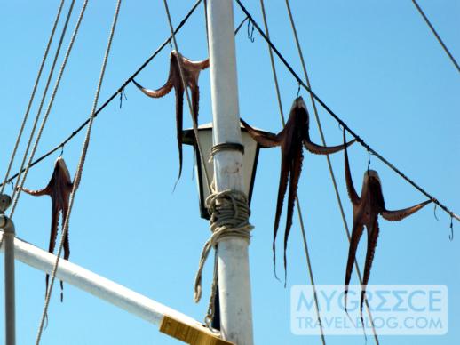 octopus drying on a line