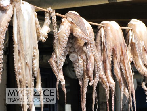 octopus hanging on a line