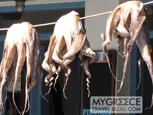 octopus hanging on a line