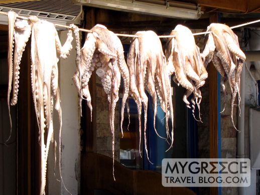 octopus hanging on a line