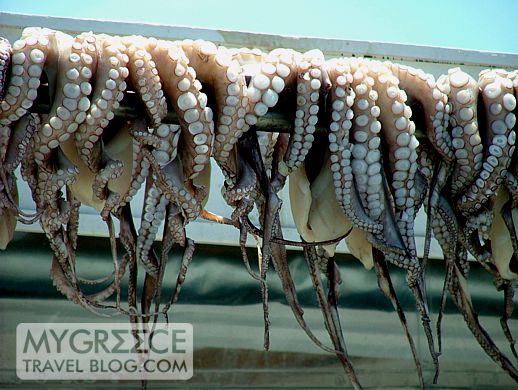 octopus hanging on a line