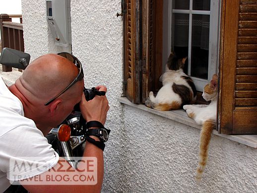 two cats on a window ledge in Adamas, Milos