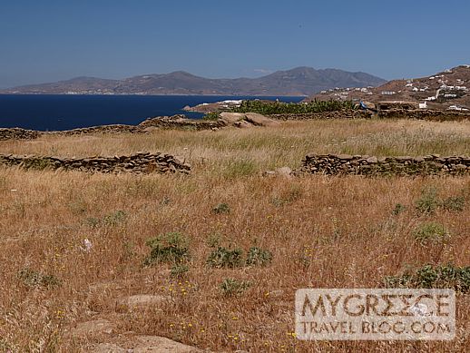 a field in the Tagoo district of Mykonos