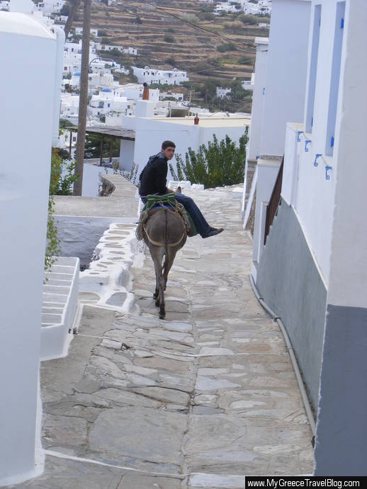 donkey on Sifnos