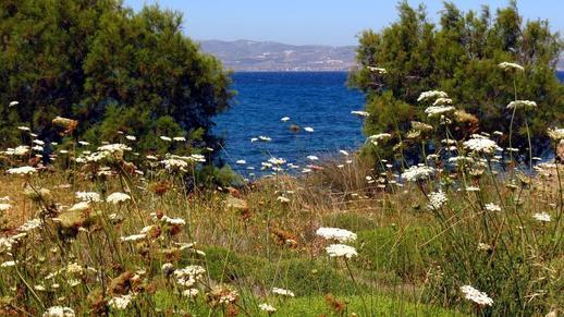 west coast of Naxos