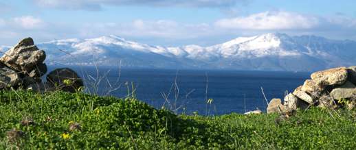 Achim Eckhardt photo of Tinos viewed from a grassy hillside on Mykonos