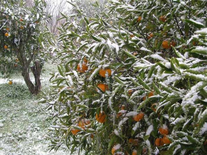 Snow at Halki village Naxos