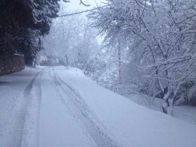 Snow on Skiathos photo shared on Facebook by Giorgos Diolettas