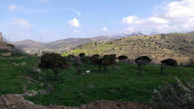 Lianos Village hotel photo of countryside near Agia Mamas church Naxos