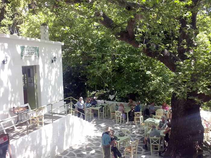 Drosia restaurant terrace in Menites