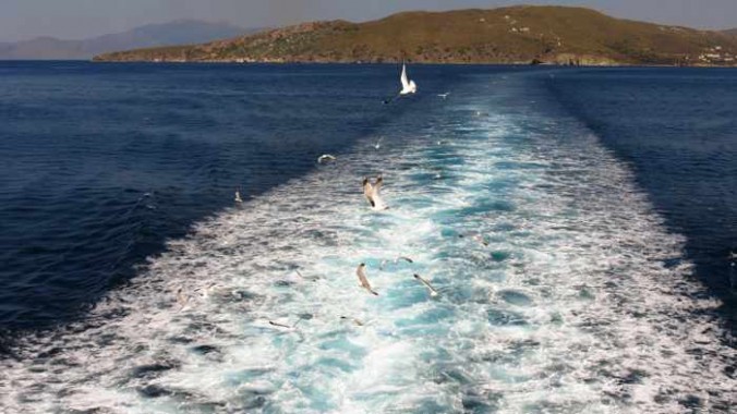 seagulls following Superferry II