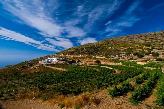 Manalis Winery Sikinos Greece