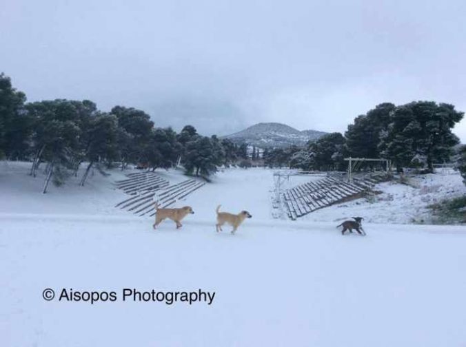 Snow at Epidaurus