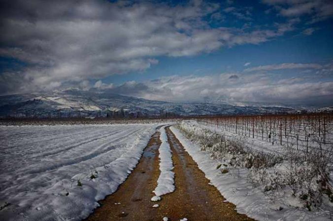 snow in Nemea wine region of Greece