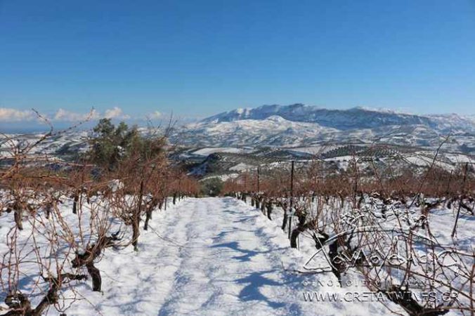 Snow at Douloufakis Cretan Winery on Crete