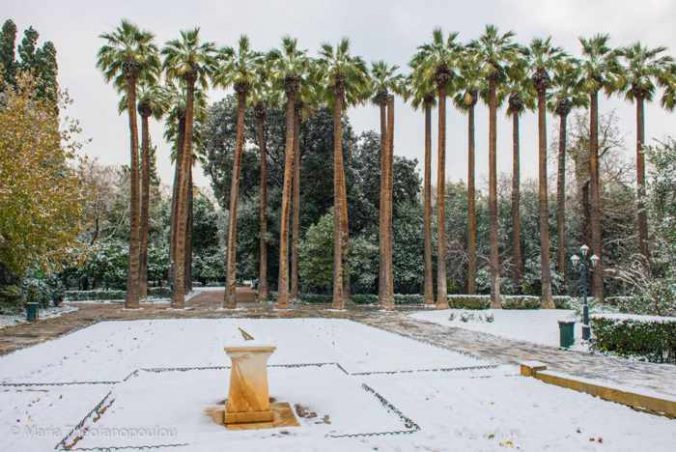 Snow in the National Gardens in Athens Greece