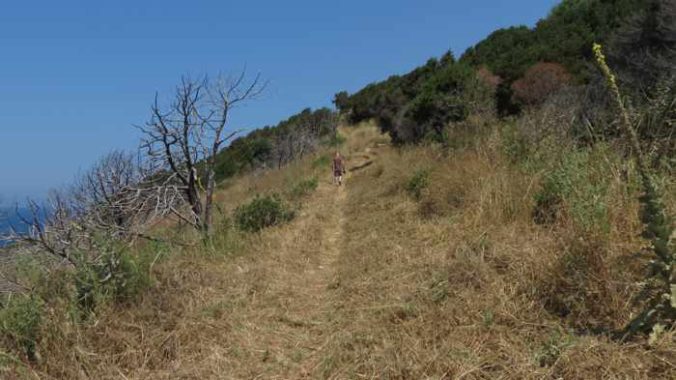 Trail to the Navarino Castle