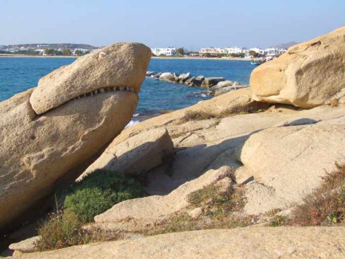 Shark Rock