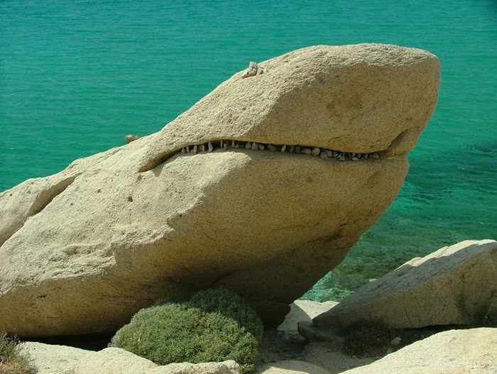 Shark Rock 