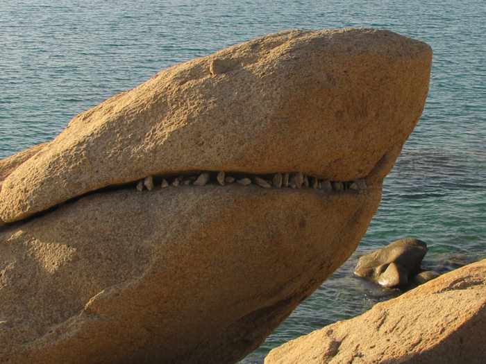 Shark Rock