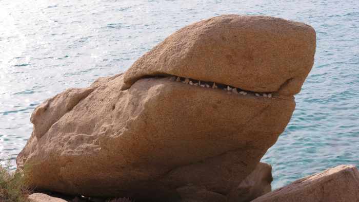 Shark Rock