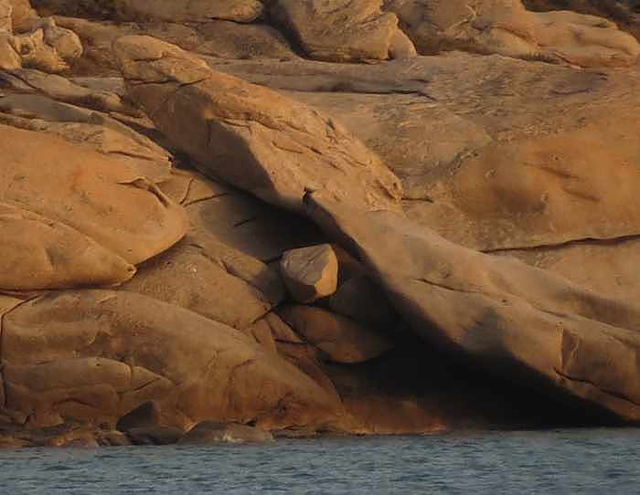 Shark Rock