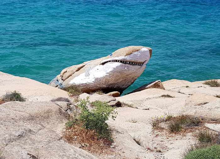 Shark Rock