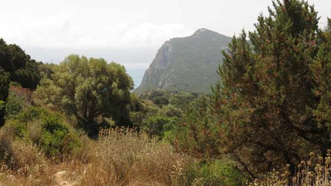 Old Castle of Navarino