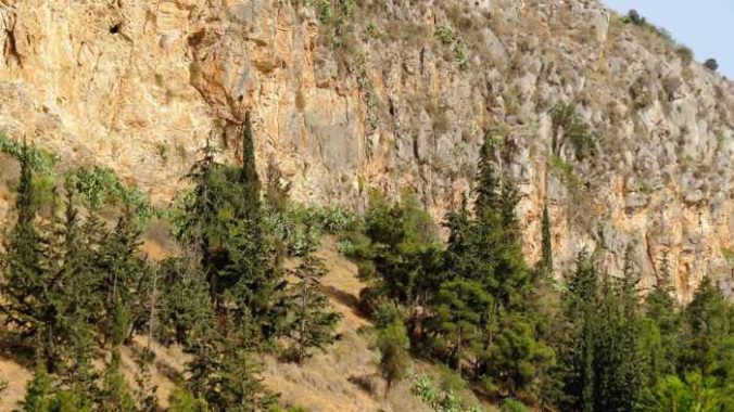 Greece, Peloponnese, Nafplio, mountain, cliffs, trees, Palamidi mountain, mountain,