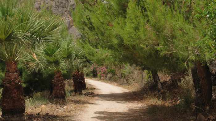 Greece, Peloponnese, Nafplio, Karathona, Karathona path, path, walkway, footpath, trail, trees, 