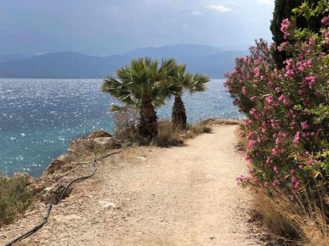 Greece, Peloponnese, Nafplio,Karathona, Karathona path, path, footpath, trail, walkway, coast, seaside, trees, flowers, sea, Argolic Gulf