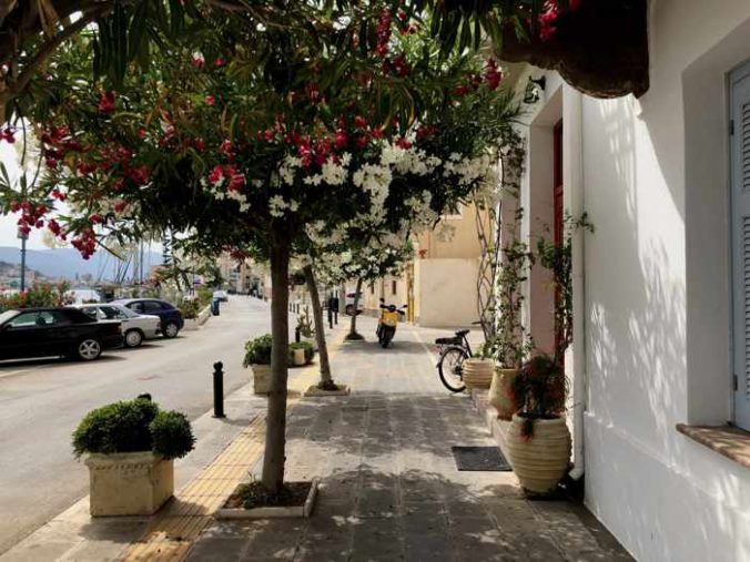 Greece, Greek island, Saronic island, Poros, Poros Greece, Poros island, street, road, tree,