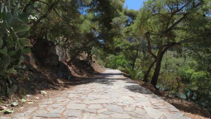 Greece, Peloponnese, Argolida, Nafplio,Arvanitia promenade, walkway,path, trees,