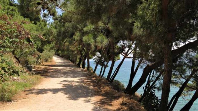 Greece, Peloponnese, Nafplio, Karathona, path, walkway, trail, Karathona beach path, trees,