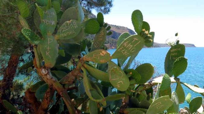 Greece, Peloponnese, Nafplio, Arvanitia, Arvanitia promenade, walkway, path, trail, coast, plants, cactus, graffiti