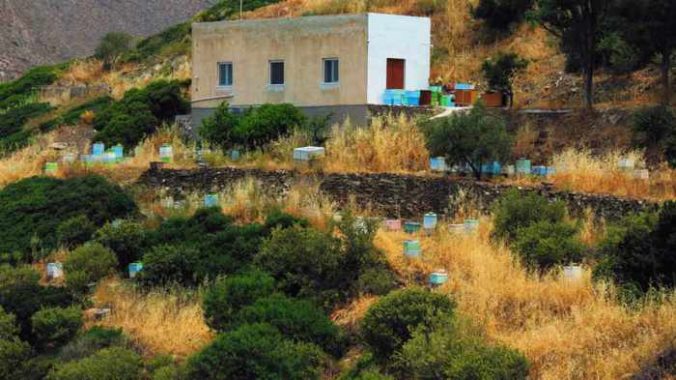 Greece, Greek Islands, Cyclades, Siros,Syros, Syros island, hill, hillside, bee hives, beehives, apiary,