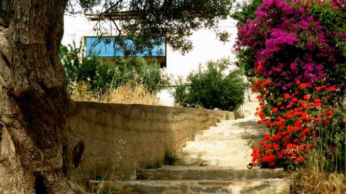 Greece, Greek Islands, Cyclades, Siros, Syros, Syros island, Kini, Kini Bay, Kini Bay Syros, village, landscape, steps, flowers, plants