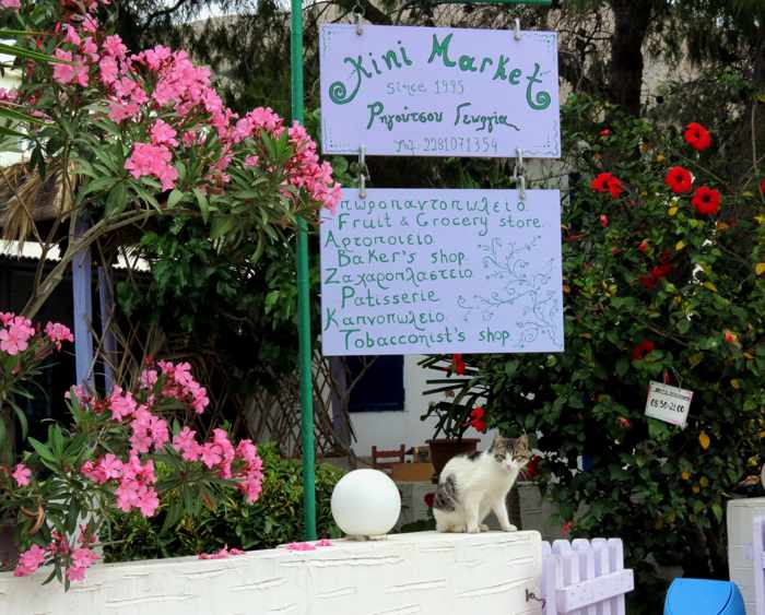 Greece, Greek islands, Cyclades, Siros, Syros, Syros island, Kini, Kini Bay, Kini Bay Syros, market, shop, store, Kini Market Kini Bay, minimarket, 