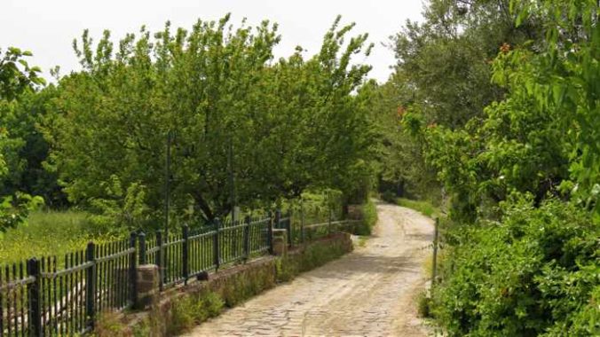 a road on a lush property in Molyvos on Lesvos island