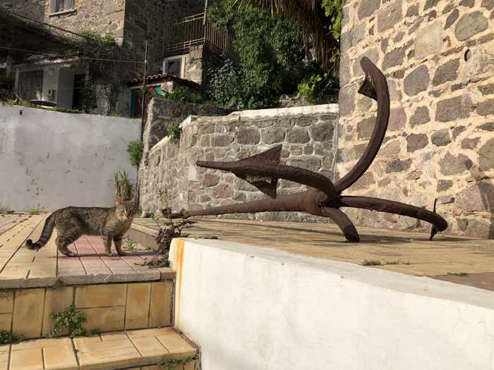 a cat and an old anchor at a house in Molyvos town on Lesvos island