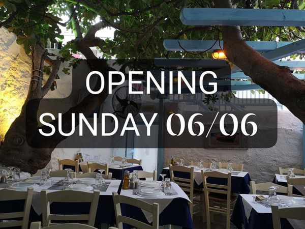 Opening announcement for Kounelas Fish Taverna on Mykonos