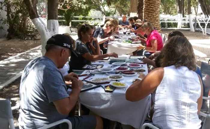 Art Mosaic Mykonos workshop group