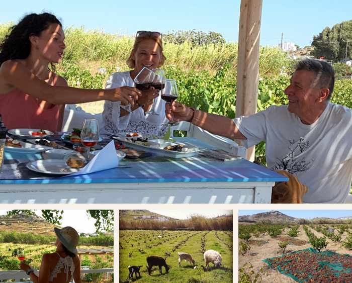 Mykonos Vioma Organic Farm & Winery