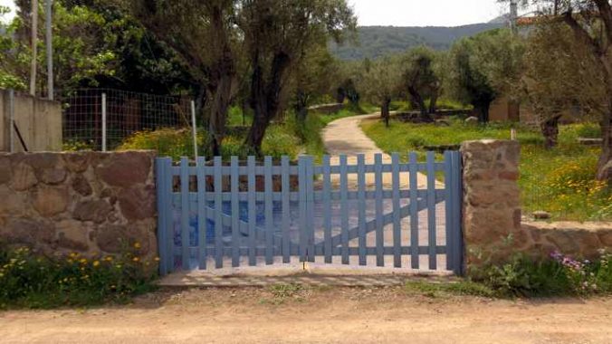 near Skala Sykaminias on Lesvos