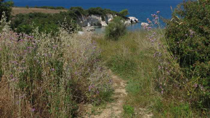 trail to Kalamia beach on Kefalonia